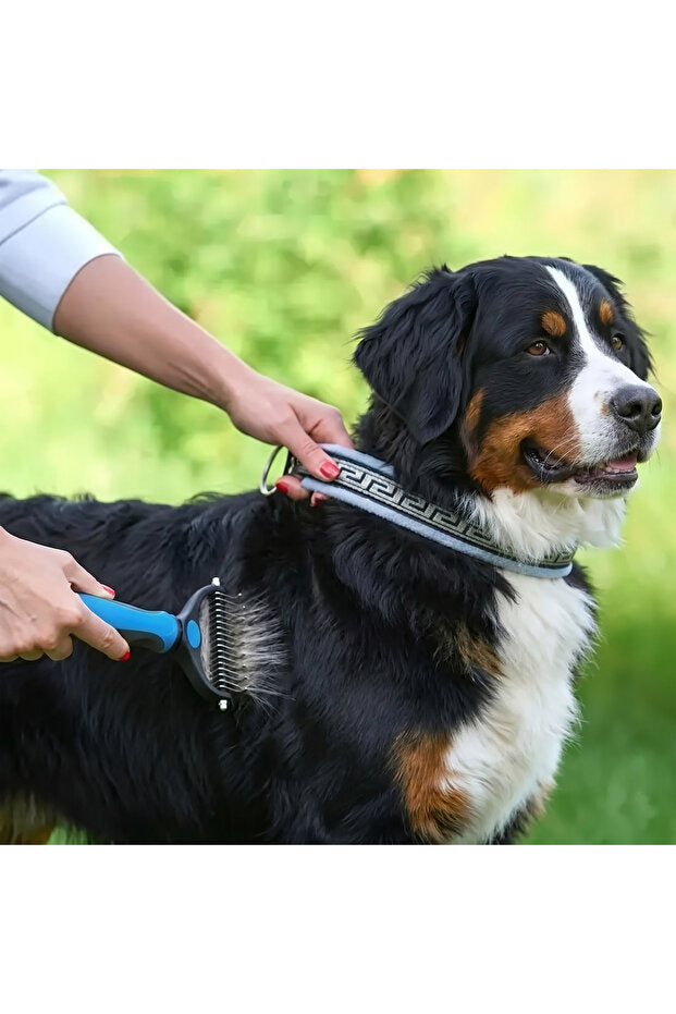 Aynı model tarağın bir köpek üzerinde gerçek kullanım fotoğrafı