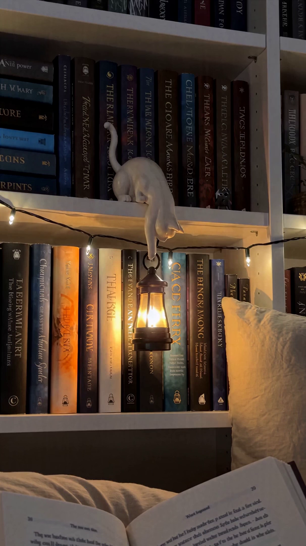 Kedi raf lambası: Hediye fikri